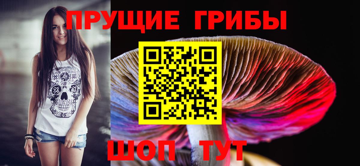 где можно купить наркотик  Вход с VPN  Саянск  Псилоцибиновые грибы Psilocybine cubensis 