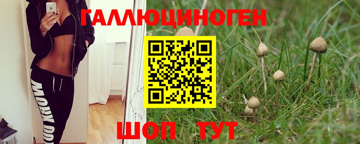 ГАШИШ  ГАШ  МАРИХУАНА  Метадон  Саянск  Вход с VPN  NBOMe  LSD-25  Меф кристаллы  АМФ кристаллы 