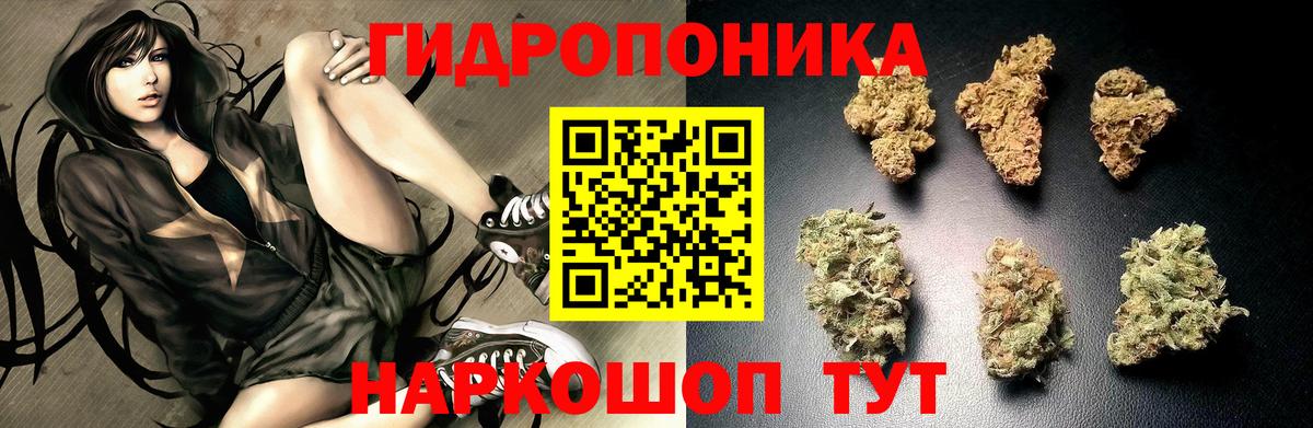 Каннабис гибрид  Бошки Шишки планчик  Вход с VPN  Конопля семена  МАРИХУАНА гибрид  Саянск 